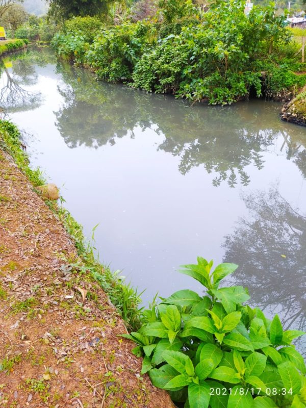 Material acinzentado teria sido despejado no rio Peroba, em Cambori&uacute; – Foto: Prefeitura de Cambori&uacute;/Divulga&ccedil;&atilde;o