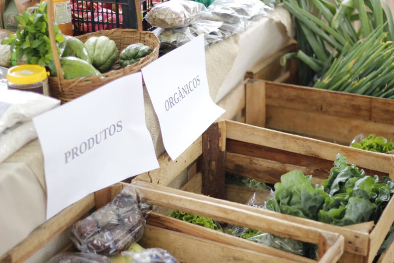 Produtos direto do produtor ao consumidor na porta da prefeitura em Criciúma. – Foto: Divulgação