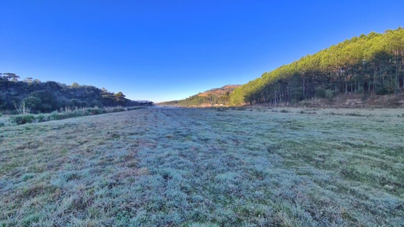 Após tornado, não está descartada a chance de geada, como na imagem que mostra campo com geada e céu limpo