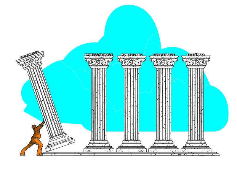 Funcionalismo p&uacute;blico ter&aacute; novo perfil, ajustado &agrave; m&aacute;xima &ldquo;fazer mais com menos&rdquo;; uso da tecnologia ajudar&aacute; a otimizar tarefas – Foto: F&aacute;bio Abreu/ND