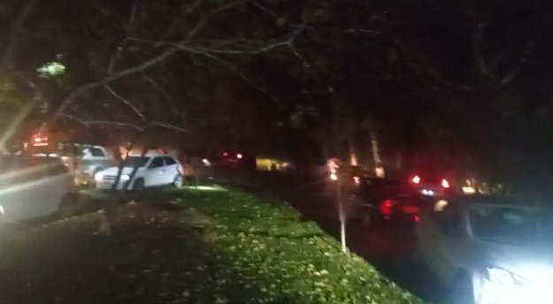 Segundo a Guarda Municipal, ao ver as equipes de fiscaliza&ccedil;&atilde;o, algumas pessoas tentaram fugir para uma &aacute;rea de mata – Foto: Guarda Municipal/Divulga&ccedil;&atilde;o/ND