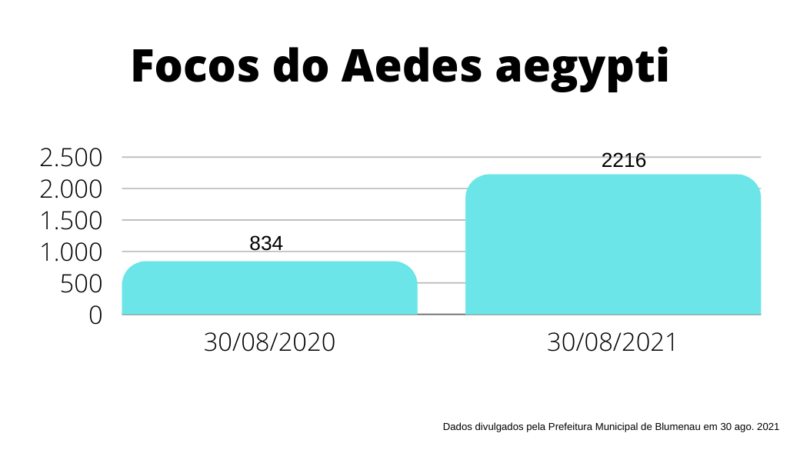 Aumento de focos foi de 167% neste ano&nbsp; – Foto: N&aacute;taly Lopes