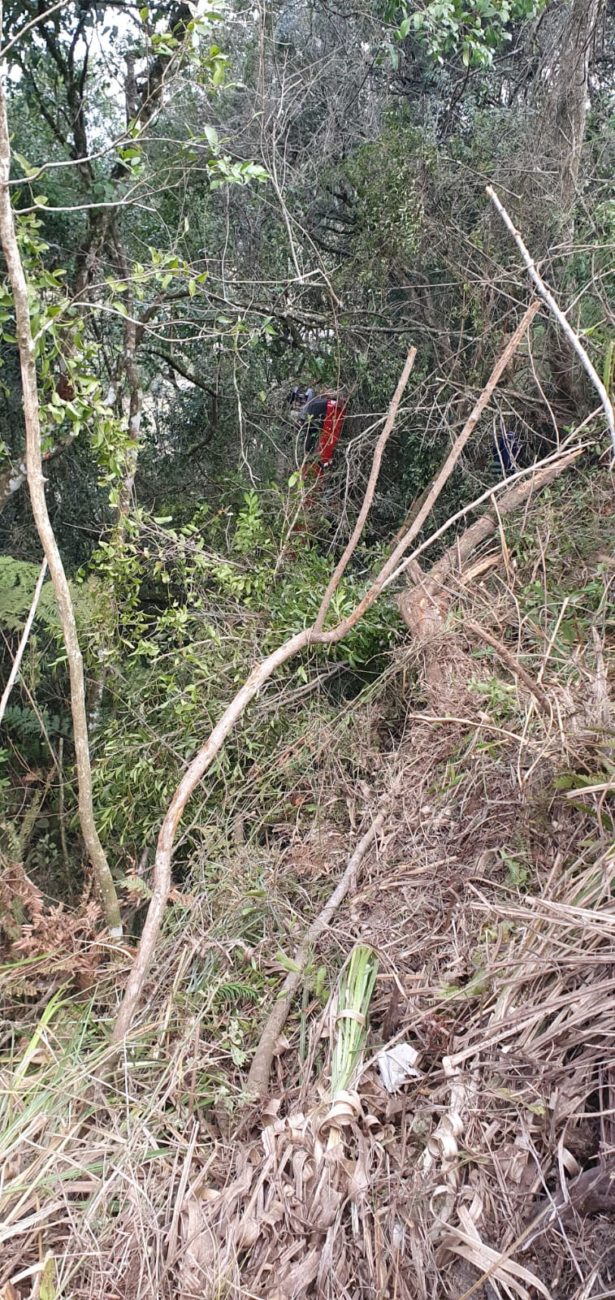 Proprietários do terreno em frente ao acidente encontraram a vítima - CBM/Divulgação/ND