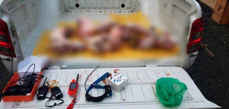 Policiais localizaram carca&ccedil;as de animais silvestres que foram abatidos ilegalmente no Parque Nacional da Serra do Itaja&iacute; – Foto: Divulga&ccedil;&atilde;o/Pol&iacute;cia Federal