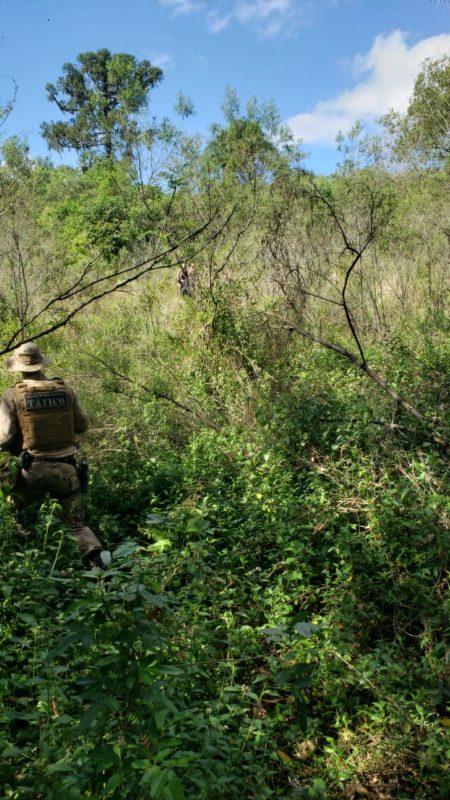 Corpo de Tayn&aacute; foi encontrado em &aacute;rea de mata em Itapema, Litoral Norte de SC /PM/ND
