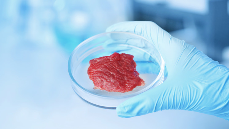 Carne produzida em laborat&oacute;rio deve chegar &agrave;s prateleiras dos supermercados entre 2024 e 2025. – Foto: Divulga&ccedil;&atilde;o/ND
