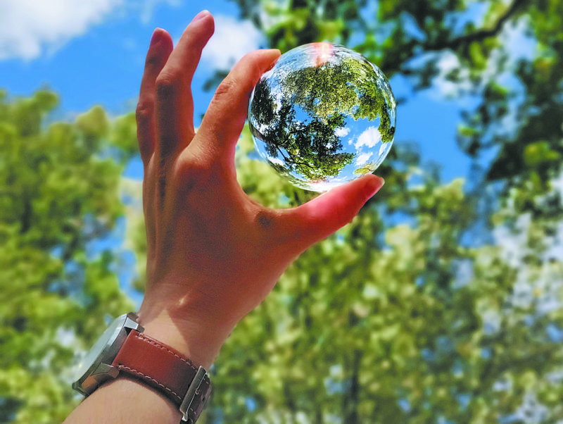 Meio ambiente precisa da união de esforços hoje para garantir futuro – Foto: Margot Richard/Unsplash
