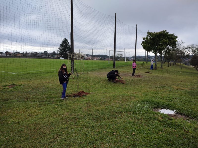 Os alunos fizeram o plantio de árvores em alusão ao Dia do Combate à Poluição. – Foto: Divulgação.