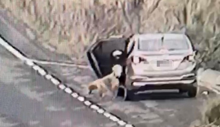 Pol&iacute;cia Civil investiga o caso de abandono e animal foi resgatado pela Fundai – Foto: Reprodu&ccedil;&atilde;o/Internet