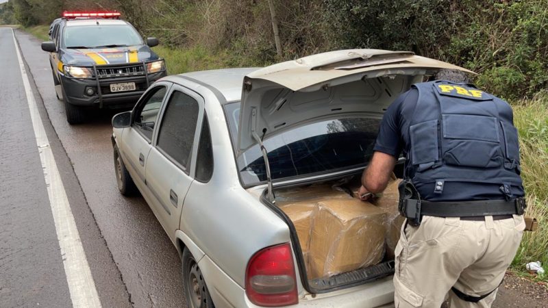 O motorista disse aos policiais que levaria a mercadoria para restaurantes em Curitiba – Foto: PRF/ Divulga&ccedil;&atilde;o/ ND