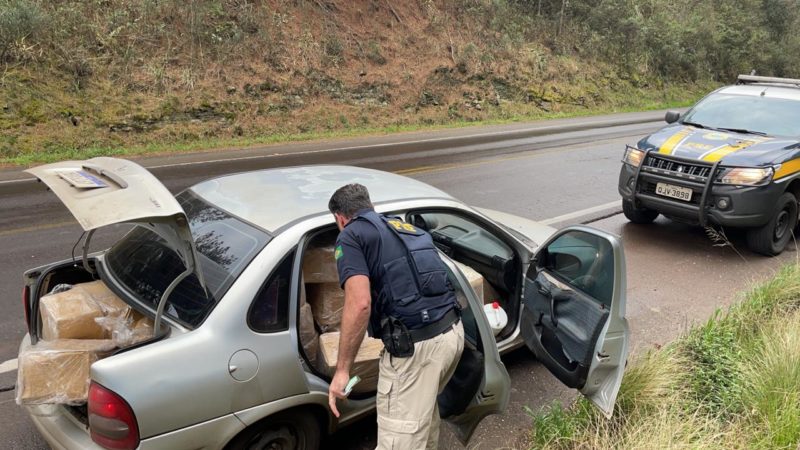 O carro e a mercadoria foram apreendidos Foto: PRF/ Divulga&ccedil;&atilde;o/ ND