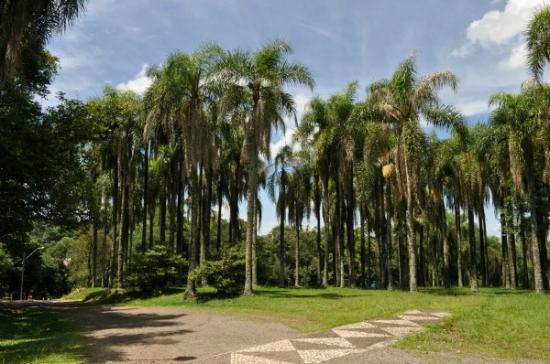 Bairro Parque das Palmeiras em Chapecó