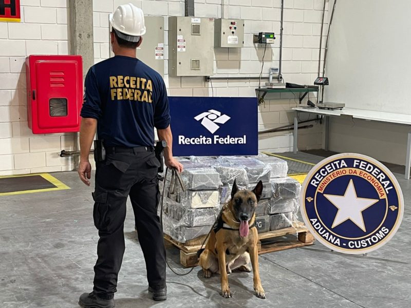 Enzo, o cão de faro da Receita Federal, ajudou na apreensão. – Foto: Receita Federal/Divulgação ND