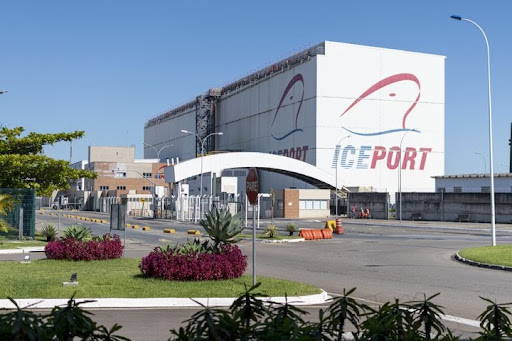C&acirc;mara frigor&iacute;fica Iceport &eacute; um diferencial competitivo da Portonave&nbsp;– Foto: Portonave/Divulga&ccedil;&atilde;o