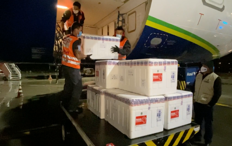 Imunizantes serão distribuídos entre os municípios nesta semana – Foto: DIVE/Divulgação/ND