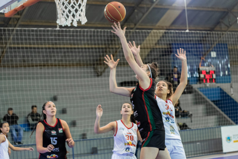 JEC/Gin&aacute;stico/Sesporte entra em quadra no fim de semana para disputar a Copa SC Sub-18 – Foto: Victor Gui&atilde;o/Divulga&ccedil;&atilde;o/ND