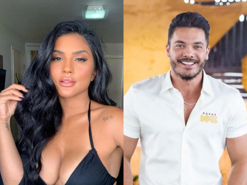 Wesley Safad&atilde;o e ex mulher j&aacute; protagonizaram muitas tretas no passado – Foto: Reprodu&ccedil;&atilde;o Internet