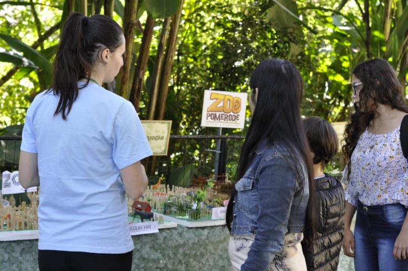 <span style="font-weight: 400;">40 das espécies que são abrigadas no Bioparque estão na lista de ameaçadas de extinção</span> – Foto: Arquivo Fev. 2020/Zoo Pomerode