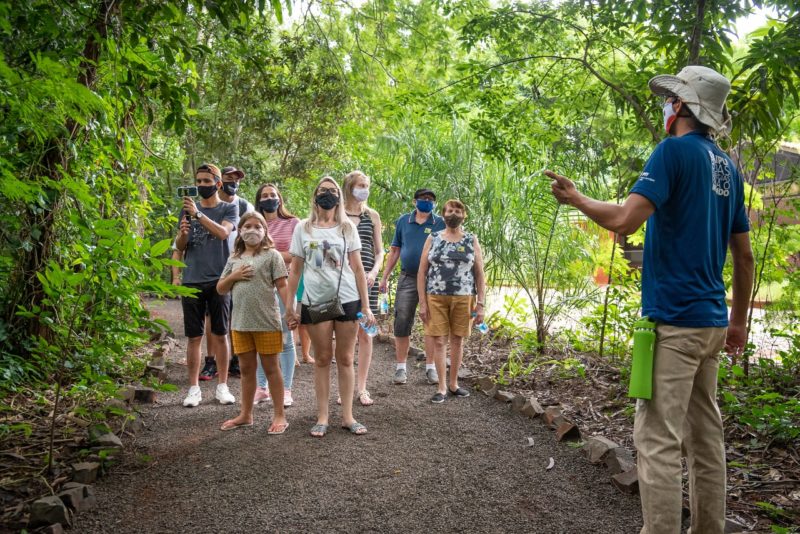 No parque das aves o turista pode aproveitar a trilha e ainda ter contato com a natureza do local&nbsp; – Foto: Divulga&ccedil;&atilde;o/ND