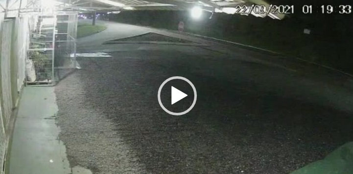 Adolescente perdeu o controle da motocicleta e voou sobre o canteiro – Foto: Internet/Reprodução/ND
