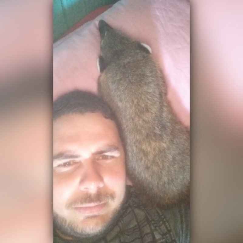 Quati é o novo amigo da família. – Foto: Arquivo Pessoal/Divulgação/ND