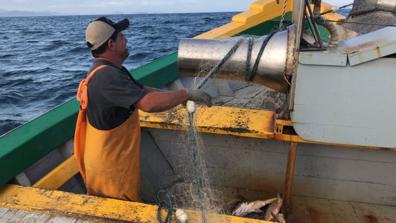 Adinesio &eacute; pescador h&aacute; 36 anos e a profiss&atilde;o &eacute; repassada a cada gera&ccedil;&atilde;o de sua fam&iacute;lia- Foto: Arquivo Pessoal/ ND