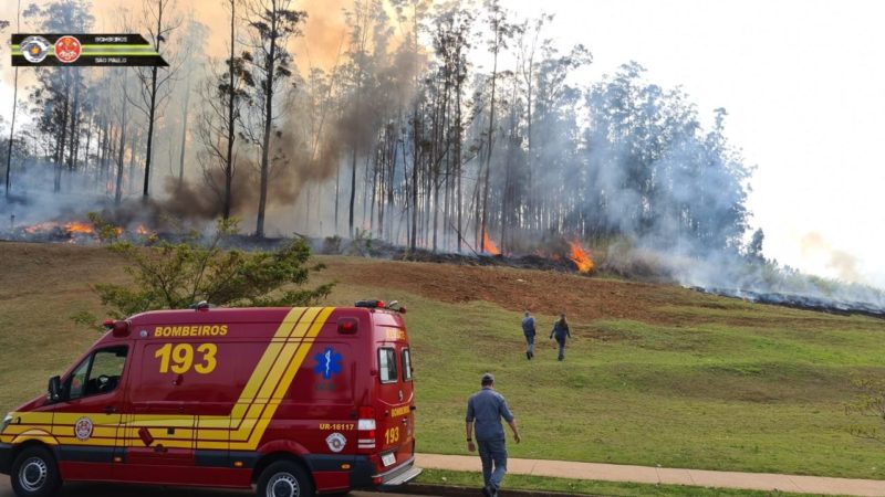 Corpo de Bombeiros informou o total de sete v&iacute;timas – Foto: Divulga&ccedil;&atilde;o/CBMSP/ND