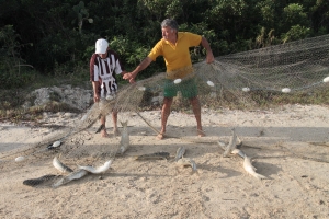 Altera&ccedil;&otilde;es na pol&iacute;tica de pesca e na compra de pescados foram sancionadas pelo Executivo – Foto: Divulga&ccedil;&atilde;o/Alesc/ND