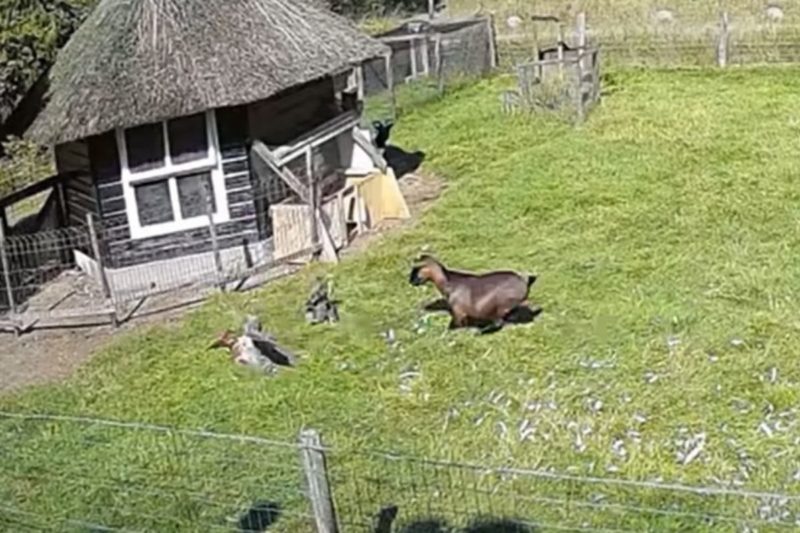 J&aacute; dizia Buzz Lightyear: se a fase &eacute; ruim, amigo, eu estou aqui – Foto: Reprodu&ccedil;&atilde;o