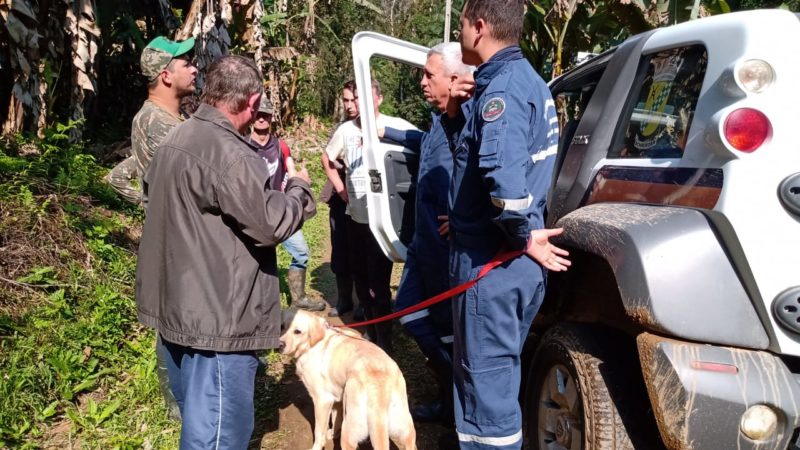 trabalho de buscas na mata
