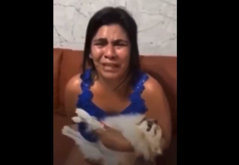 Mulher recebeu o cachorro morto após levá-lo para tomar banho em pet shop de Brasília – Foto: Reprodução/Redes Sociais