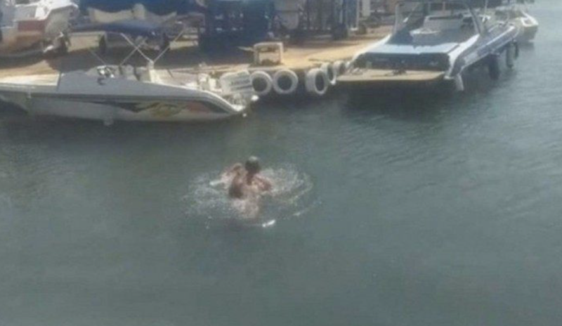 Capivara atacou homem enquanto nadava no Lago Parano&aacute; – Foto: Reprodu&ccedil;&atilde;o