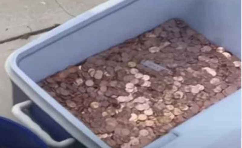 Ryan teve trabalho para separar todo o dinheiro. – Foto: Reprodução