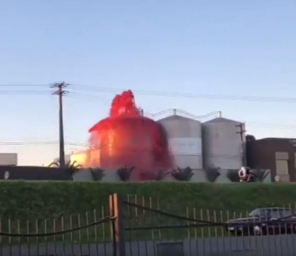Tonel de suco de uva explodiu e formou uma esp&eacute;cie de “vulc&atilde;o” de uva – Foto: Divulga&ccedil;&atilde;o/ND