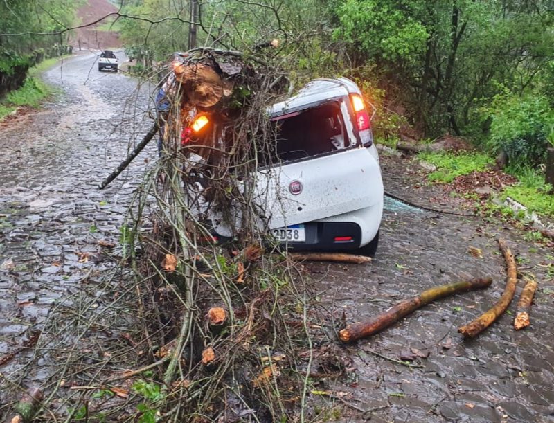 Carro foi destru&iacute;do ap&oacute;s o acidente – Foto: Corpo de Bombeiros/ND