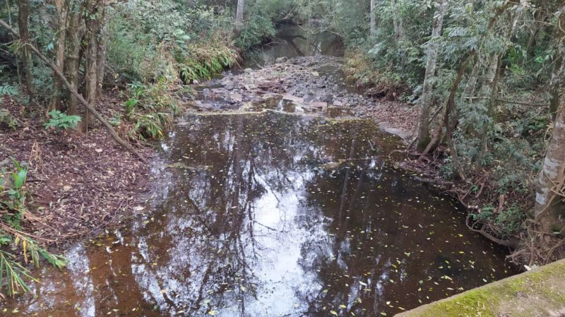 mostra um lago com pouca água e muitas pedras e algumas arvores 