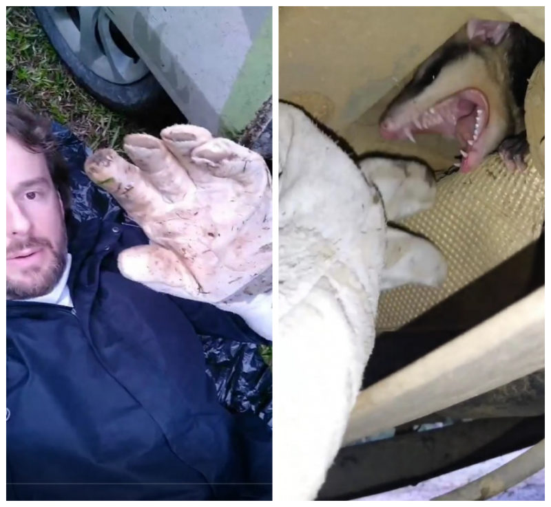 Biólogo publicou a saga para resgatar o gambá