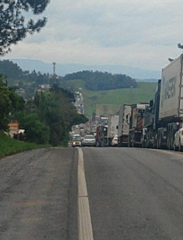 Corte de árvores e remoção de caminhão acidentado provocam congestionamento na BR-470 no Alto Vale do Itajaí – Foto: Reprodução /Internet