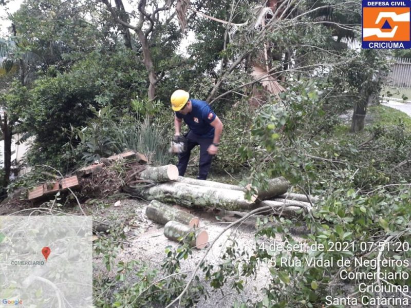 Ao menos quatro casas foram destelhadas e diversas quedas de árvores foram registradas em Criciúma – Foto: Divulgação/Defesa Civil
