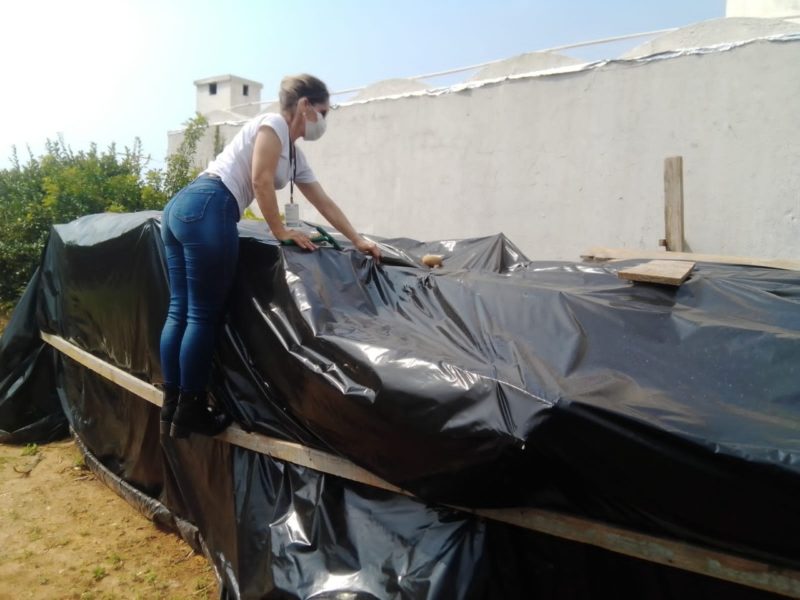 A administra&ccedil;&atilde;o municipal refor&ccedil;a&nbsp; a import&acirc;ncia de a popula&ccedil;&atilde;o continuar com todos os cuidados necess&aacute;rios para prevenir o avan&ccedil;o do mosquito da dengue pela cidade – Foto: PMF/Divulga&ccedil;&atilde;o/ND