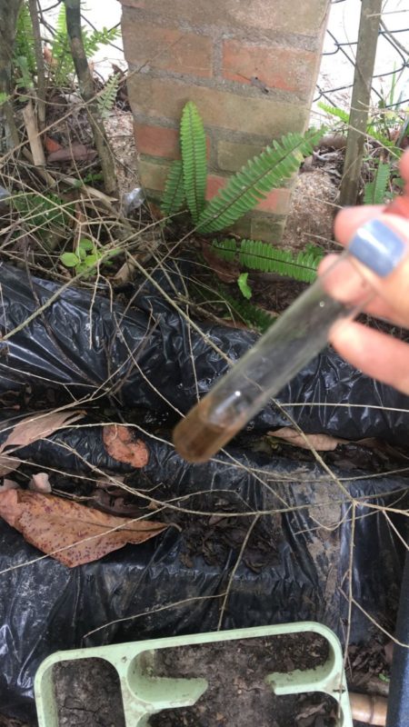 A melhor forma de preven&ccedil;&atilde;o da dengue &eacute; evitar a prolifera&ccedil;&atilde;o do mosquito Aedes Aegypti, eliminando &aacute;gua armazenada que pode se tornar poss&iacute;veis criadouros – Foto: PMF/Divulga&ccedil;&atilde;o/ND