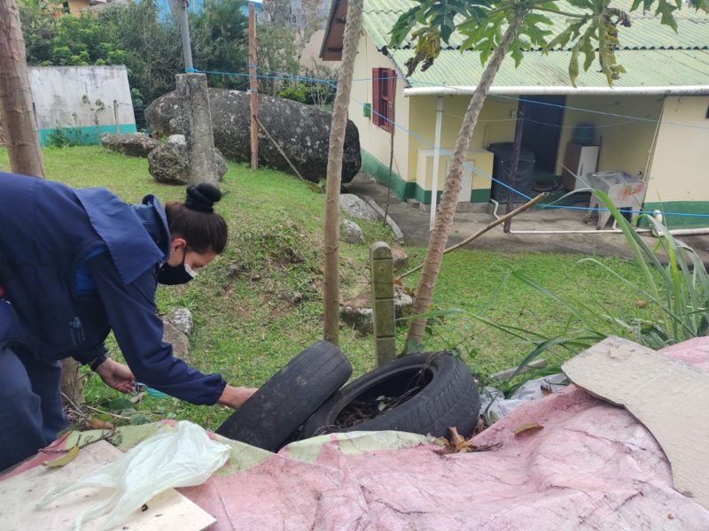 Governo estadual alerta sobre necessidade de cuidados contra o mosquito – Foto: PMF/Divulga&ccedil;&atilde;o/ND