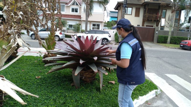 Bairros de Florian&oacute;polis recebem inspe&ccedil;&atilde;o em todas as ruas – Foto: Divulga&ccedil;&atilde;o/PMF