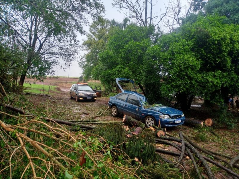 Xanxer&ecirc; registra estragos causados pelo temporal desta ter&ccedil;a-feira no interior do munic&iacute;pio – Foto: Defesa Civil/ND