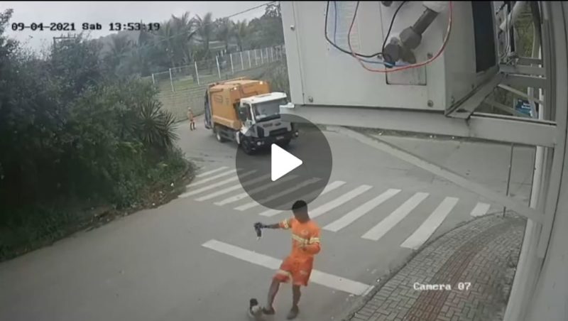 Gari chutou cadela por medo de ser mordido em Brusque – Foto: Reprodu&ccedil;&atilde;o/ND