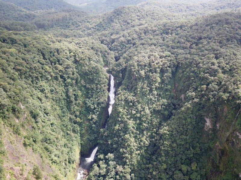 Reserva do Caetzal, reconhecida como RPPN em 2001 – Foto: Paulo Tajes Lindner/Divulga&ccedil;&atilde;o/ND