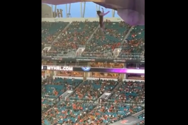 Gato deixou torcedores apreensivos nos EUA – Foto: Internet