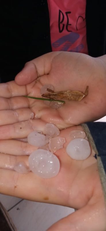 Granizo do tamanho do bolas de “ping-pong” foram registradas no Sul de SC neste domingo (19) – Foto: Divulgação/ND