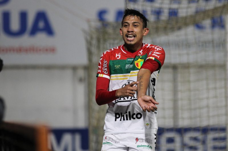Brusque é um dos representantes de SC na Série B do Campeonato Brasileiro – Foto: Lucas Gabriel Cardoso/Brusque FC