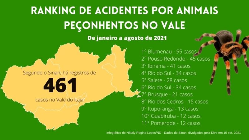 Blumenau está em primeiro lugar, com 55 casos – Foto: Nátaly Lopes/ND